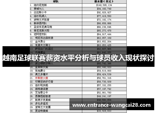 越南足球联赛薪资水平分析与球员收入现状探讨